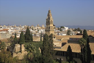 View of historic city centre and belfry bell tower, Toree del Laminar, Grand Mosque, Cordoba,