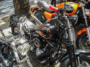 A Harley Davidson parked among other motorbikes on a city street under trees, Paris, France, Europe