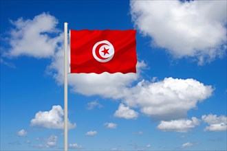 The flag of Tunisia, Africa, North Africa, Studio