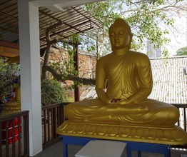 Large golden Buddha statue, Gangaramaya Buddhist Temple, Colombo, Sri Lanka, Asia