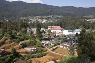 View over the town of Nuwara Eliya, Central Province, Sri Lanka, Asia