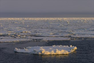Pack ice in the Hinlopenstretet, Hinlopenstreet, strait between Spitsbergen and Nordaustlandet in