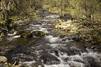 Glenridding Beck stream, Lake District national park, Cumbria, England, UK