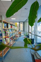 Library with green plants and bookshelves in daylight with a view outside, Black Forest, Nagold,