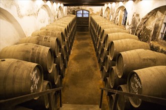 Oak barrels of maturing sherry wine in cellar, Gonzalez Byass bodega, Jerez de la Frontera, Cadiz