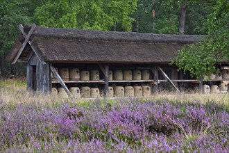 Bee hives, beehives, skeps in rustic shelter of apiary in the Lueneburg Heath, Lunenburg Heathland,