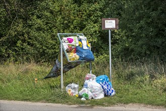 Illegal dumping of household refuse bags in net along roadside meant for throwing in cans and