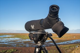 Birdwatcher's telescope and view over salt marsh of the Western Scheldt estuary at nature reserve