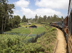 Train journey through countryside near Pittipola, Sri Lanka, Asia