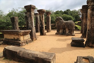 Council Chamber, Island Park, UNESCO World Heritage Site, the ancient city of Polonnaruwa, Sri