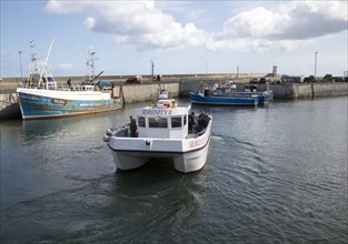 Boat trip to Farne Islands in the harbour, Seahouses, Northumberland, England, UK