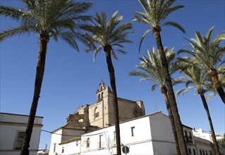 Historic church in Plaza del Mercado, Barrio de Santiago, Iglesia de San Mateo, Jerez de la