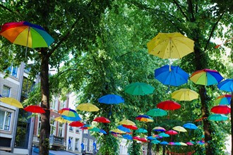 Colourful umbrellas in the old town, decoration, Roermond, Netherlands