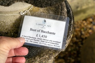 Price label tag stone bust of Bacchiante, Garden Art Limited, Eddington, Hungerford, Berkshire,