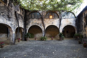 Historic courtyard with grapevines, Gonzalez Byass bodega, Jerez de la Frontera, Cadiz province,