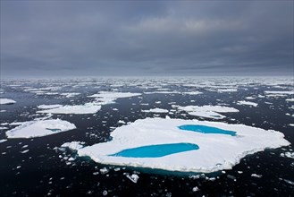 Aerial view over sea ice, drift ice, ice floes with melt ponds containing freshwater in the Arctic