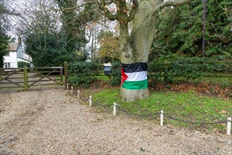 Support for Gaza Palestinians, Palestinian flag on tree outside private home, Suffolk, England, UK