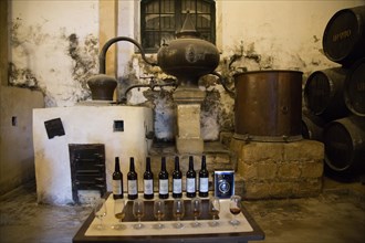 San Bruno brand brandy cognac production in Gonzalez Byass bodega, Jerez de la Frontera, Cadiz