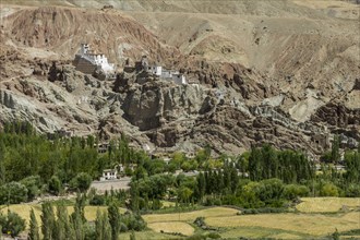 Basgo village with some fields, and Basgo Gompa, the Buddhist monastery and fortress in Central