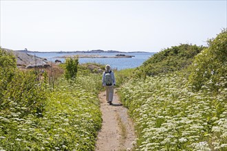 Swedish woman hiking on the Kuststigen Bohuslaen coastal hiking trail on the archipelago island of