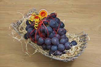 Table grapes (Vitis vinifera) from Flemish Brabant, Flanders, Belgium, Europe