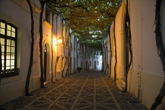 Historic cobbled street Calle Ciegos in Gonzalez Byass bodega, Jerez de la Frontera, Spain, Europe