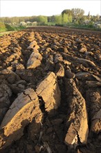 Broken earth of ploughed field, Haspengouw, Belgium, Europe