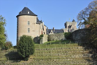 The medieval Gaasbeek Castle and vineyard at Lennik, Belgium, Europe