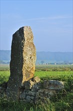 The menhir, standing stone Danthin near Weris, Belgian Ardennes, Belgium, Europe