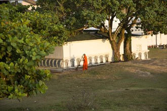 Buddhist monk sweeping temple grounds in the historic town of Galle, Sri Lanka, Asia