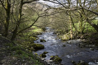 Glenridding Beck stream, Lake District national park, Cumbria, England, UK