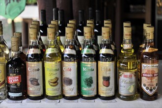 Rum bottles and liqueur bottles, Vinales, Valle de Vinales, Pinar del Rio province, Cuba, Greater