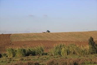 Tractor ploughing ridge along hillside in countryside near Vejer de la Fronterra, Cadiz Province,