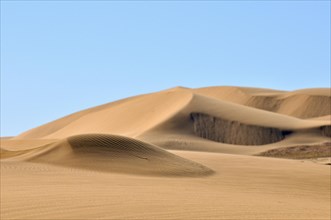 Sand ripples on dunes in the Namib desert, Namibia, Africa