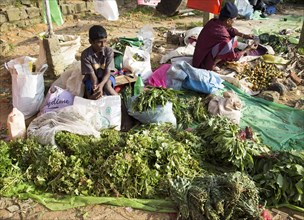 Fruit and vegetable market, Haputale, Badulla District, Uva Province, Sri Lanka, Asia