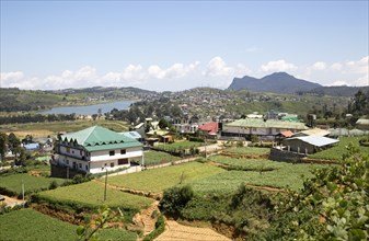 View over the town of Nuwara Eliya, Central Province, Sri Lanka, Asia farmland in foreground, Asia