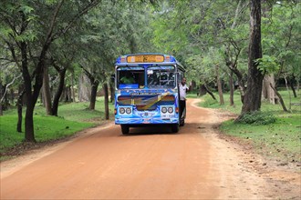 Colourful Lanka Ashok Leyland bus, Polonnaruwa, North Central Province, Sri Lanka, Asia