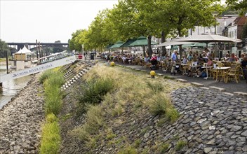 Waterfront cafes on Waalkade, River Waal, Nijmegen, Gelderland, Netherlands