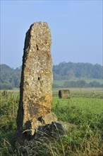 The menhir, standing stone Danthin near Weris, Belgian Ardennes, Belgium, Europe