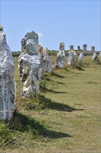 Megalithic standing stones, Alignements de Lagatjar and ruins of the Manoir de Coecilian at Crozon,