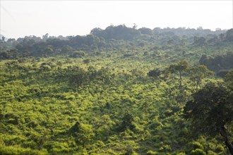 Landscape overview Hurulu Eco Park biosphere reserve, Habarana, Anuradhapura District, Sri Lanka,