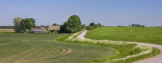 Rural landscape showing winding road, farm with farmland and dyke, dike in spring at