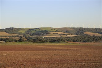 Farming landscape with wind turbines in distance, Vejer de la Frontera, Cadiz province, Spain,