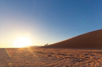 Sunrise over a vast desert landscape, Dune 45, Big daddy, sand dune, safari, wildlife, Etosha