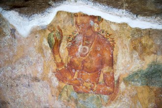 Rock painting frescoes of maidens in the palace fortress, Sigiriya, Central Province, Sri Lanka,