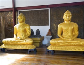 Golden Buddhas Gangaramaya Buddhist Temple, Colombo, Sri Lanka, Asia