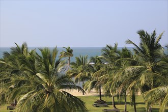 Palm trees sandy beach Amaya Beach Resort and Spa hotel, Pasikudah Bay, Eastern Province, Sri