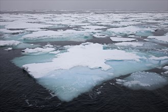 Pack ice, drift ice, ice floes drifting in the Greenland Sea