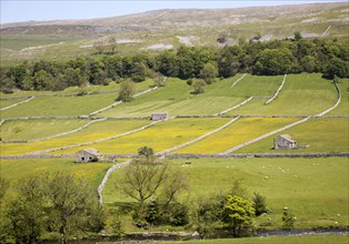 Attractive countryside River Wharf valley, Wharfedale, Kettlewell, Yorkshire Dales national park,