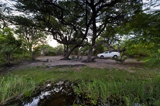 Camping in the Okavango Delta, camping, tents, nature, travel, tourism, adventure holidays,